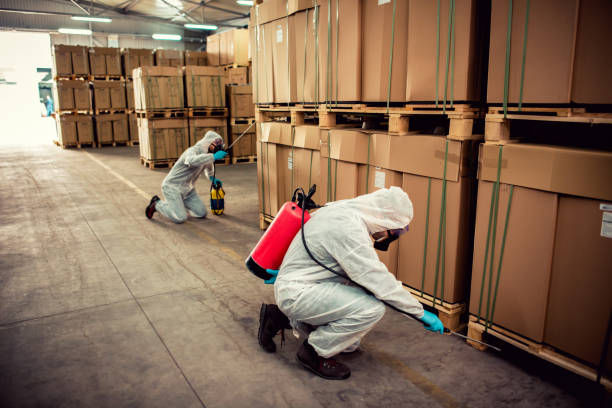 Best Affordable Pest Control Services  in Clearwater, FL
