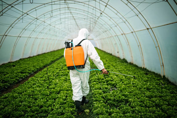 Best Best Pest Control Companies  in Clearwater, FL
