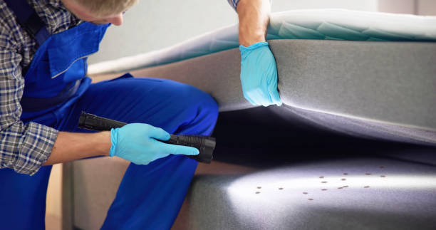 Best Mosquito Control Services  in Clearwater, FL