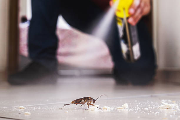 Best Residential Pest Control  in Clearwater, FL
