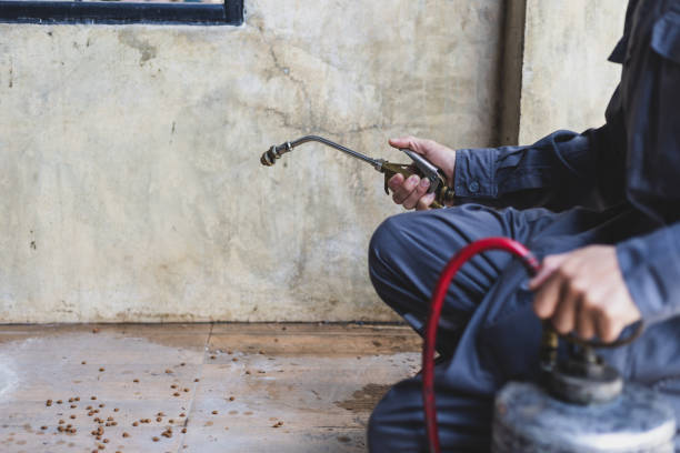 Best Best Pest Control Companies  in Clearwater, FL